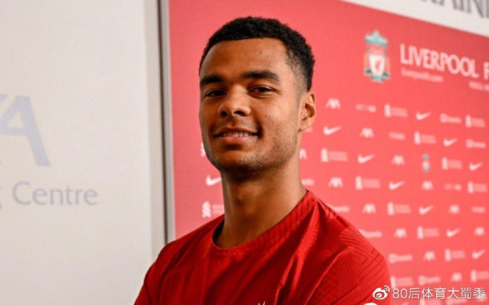 强阵容和战 强阵容和战