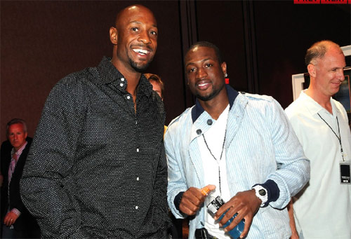 金莺的选择 金莺的选择